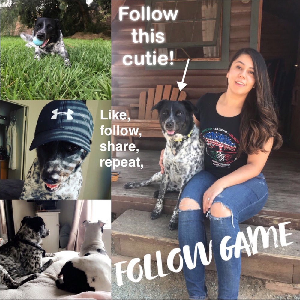 Follow Game, like it, share it, repeat!